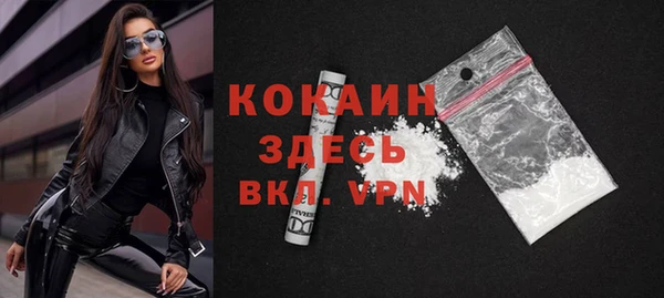 индика Абаза